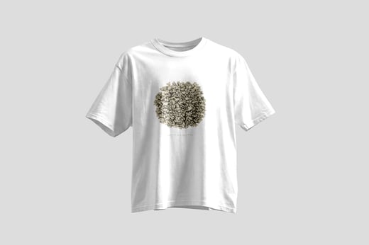 Tee — Ginseng Oolong
