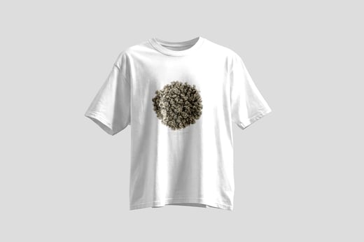 Wear — Ālǐshān Zhū Lù Chá